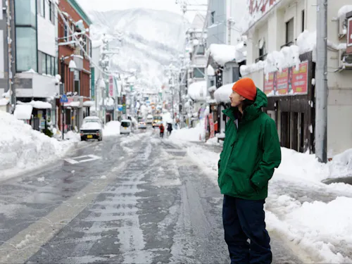雪道はこんな感じですが、消雪パイプと最強除雪隊がいます。