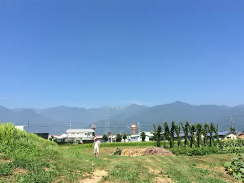 駒ヶ根市内ののどかな農村風景