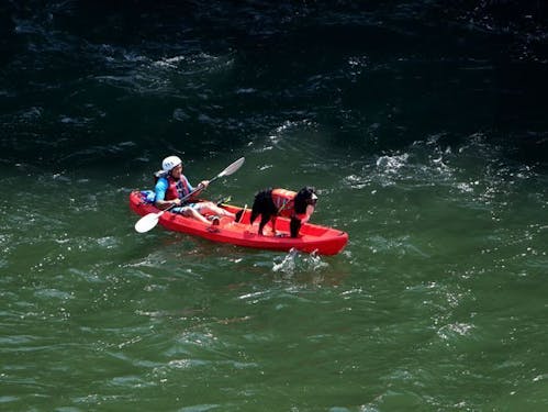 鮎釣りやカヌーなど川のアクテビティも楽しめます。