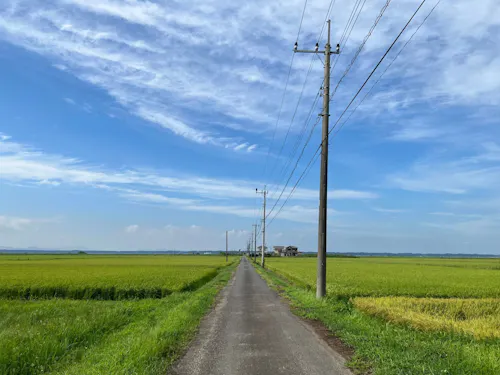 田園風景の中で暮らしを体感