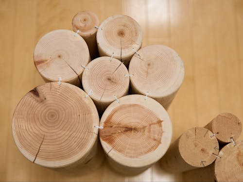 どんな「木のモノ」ができたかお楽しみに