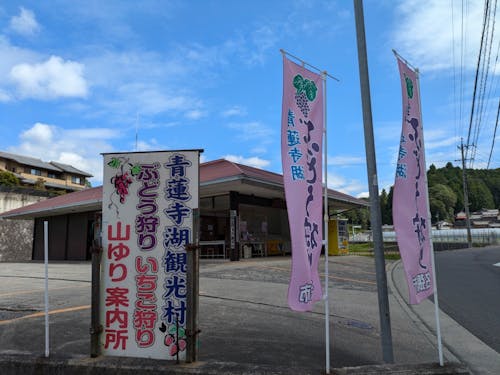 販売所
