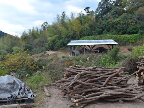 職場は大自然の中の製炭所。集落からは少し離れた緑豊かな場所。