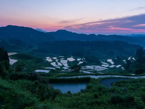 全国のカメラマンを魅了する【星峠の棚田】の絶景