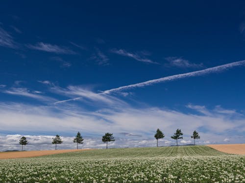 北海道の大自然が味わえる町