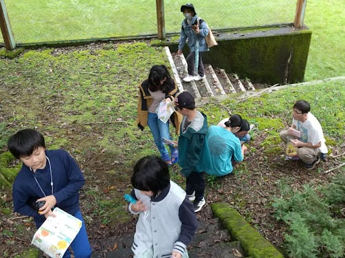 探検の様な自然観察の様子