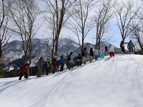 冬も自然の恵みをいただきます。イタヤカエデの木から採れるメイプルシロップ。
