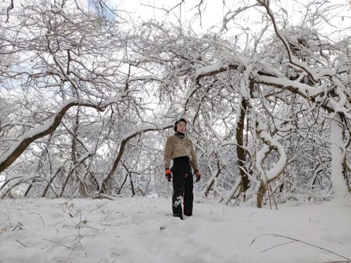 現地での剪定作業の様子