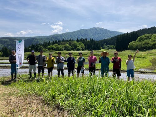 大学等と連携しての農作業