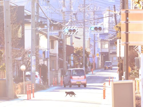 私が見つけた「岡谷市の魅力」は「日常の風景」。 ね?できそうでしょう?