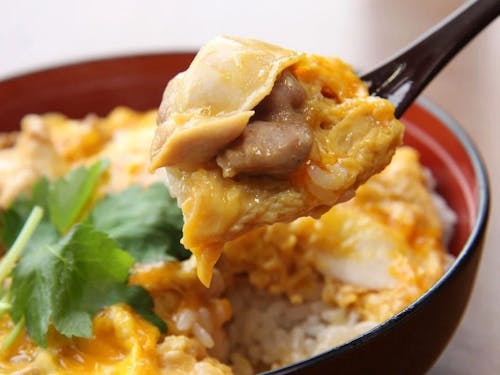 東京で江戸時代から営業している老舗鶏料理店“玉ひで”の直伝《”匠”シルク親子丼》