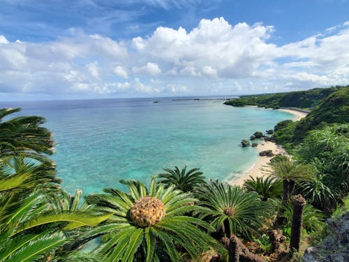 島を囲む青い海は「エラブブルー」と称され、抜群の透明度を誇る