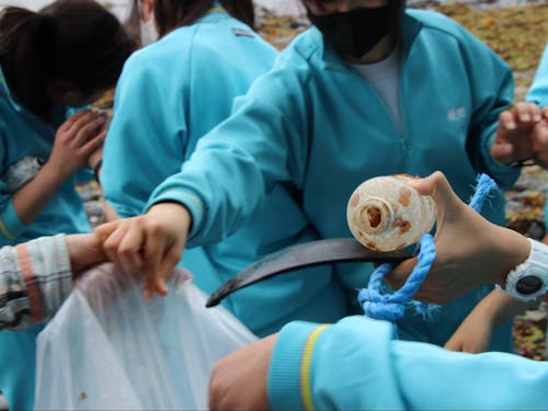 講座プログラムイメージ(ビーチクリーン)