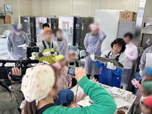 新巻鮭づくりの様子