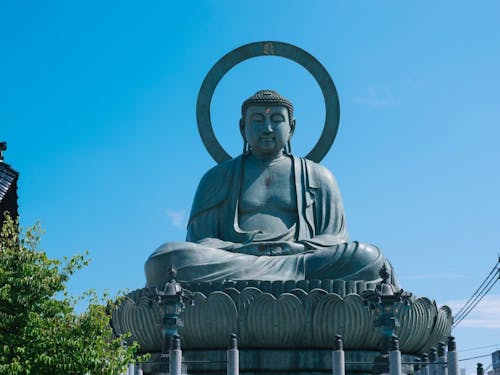いつも高岡を見守ってくださる大仏様