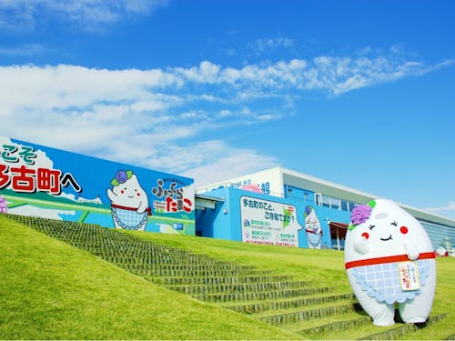 多くの方が訪れる道の駅多古「あじさい館」とふっくらたまこさんです!