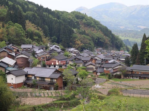 板仕野集落のようす