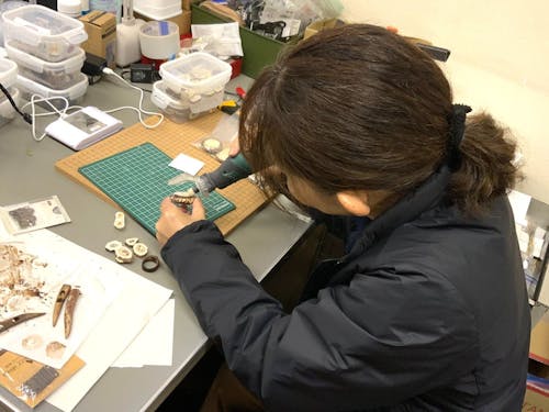 鹿の角を加工する鯉登さん