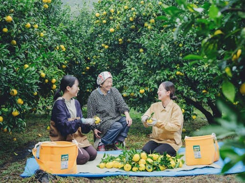 ワーキングホリデーも受け入れ中!