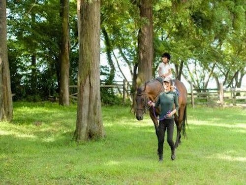 乗馬倶楽部　パ・ドゥドゥ