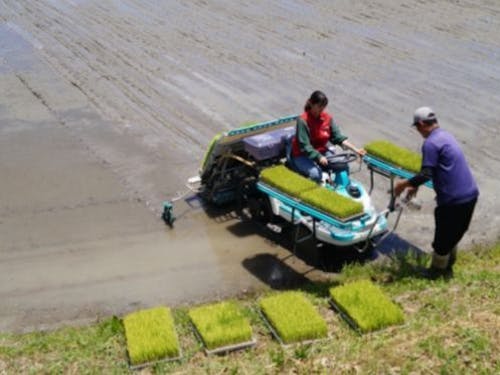 なかなか体験できない大型機械を使っての田植えも、「本気の農業」体験ならでは。