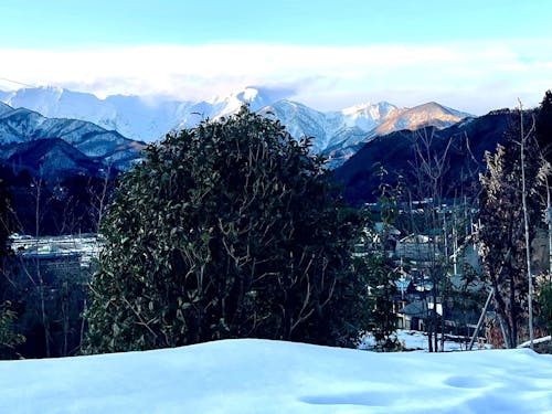 雪は大変。だけど冬の景色の美しさには変えられません。