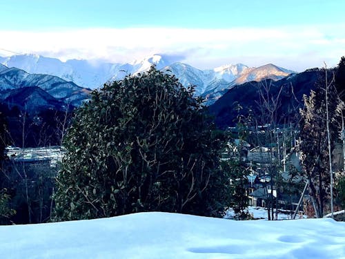 雪は大変。だけど冬の景色の美しさには変えられません。