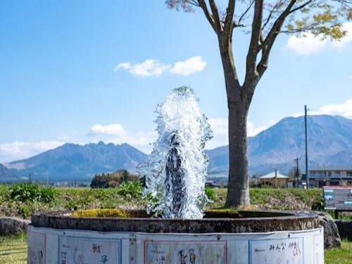 阿蘇は水がきれいで豊富です。(自噴式の湧き水)