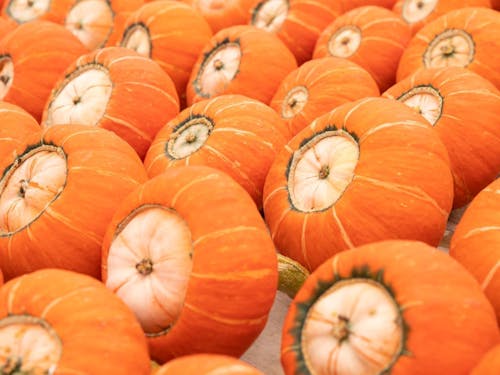 大きなへそが特徴