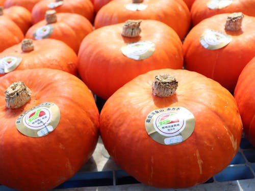 合格品にはシールが貼られ、店頭に並びます