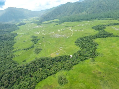 尾瀬だってすぐそこだ!