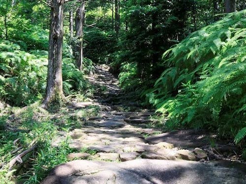 世界遺産熊野古道馬越峠の石畳は伊勢路随一の美しさを誇る
