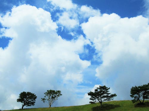 空が広いです、とっても!