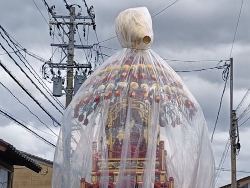 昼は魅せる「花山車」、今年は生憎の雨模様でビニール被ってます