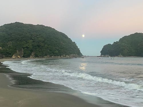 東洋町に来た人はみんなこの景色を気に入って移住を決断します