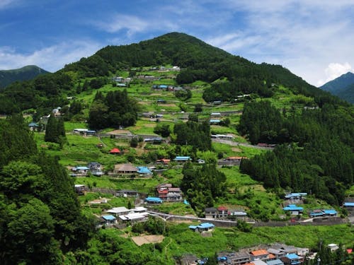 “桃源郷祖谷の山里”。重伝建に指定されている落合集落に8棟の古民家宿を運営。