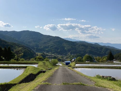 里山とまちへの距離が絶妙なバランスのエリアが新山です