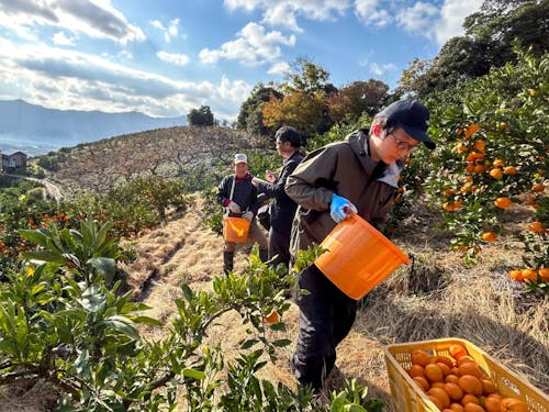 前回のみかん農家さんでの農村体験。