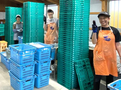 ナス、ピーマン、トマトなどの施設園芸が盛ん