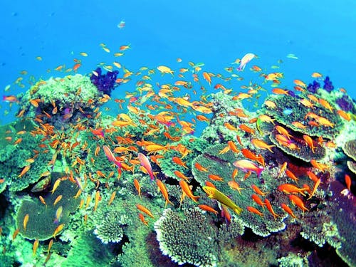 豊かな大自然を満喫