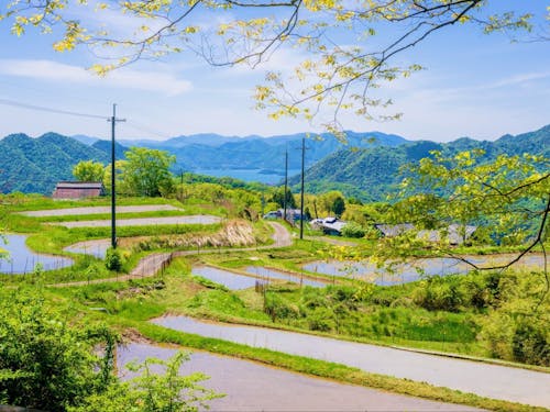 山間部には美しい田園風景が残っています