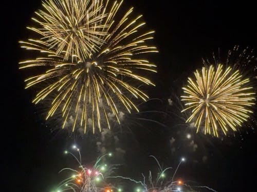 高瀬川納涼花火大会(夏)