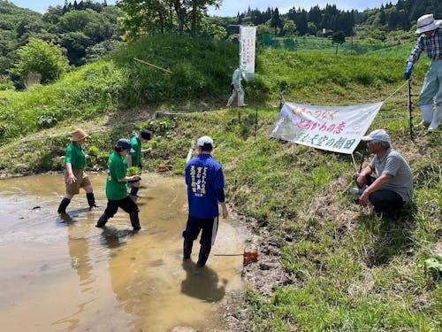 ボランティア活動のようす