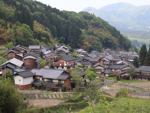 板仕野集落のようす