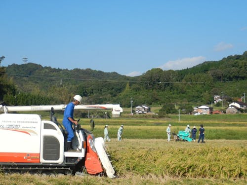 地元農工高校と協働する農業法人