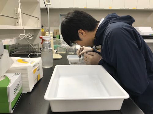 研究は試行錯誤の繰り返し