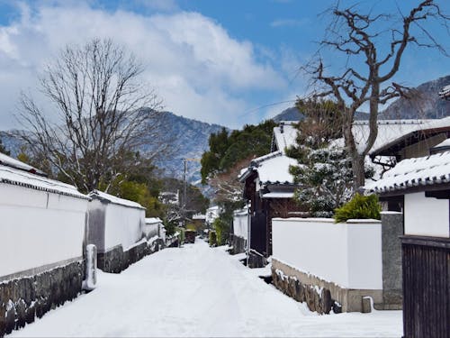 高杉晋作誕生地や木戸孝允旧宅などを、歩いて回れる世界遺産の萩城下町