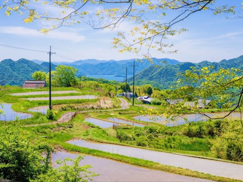 山間部には美しい田園風景が残っています