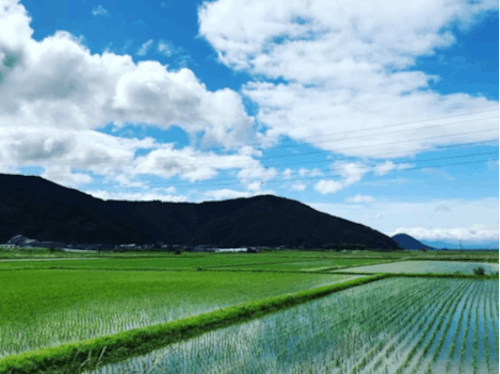 西浅井地域の田園風景