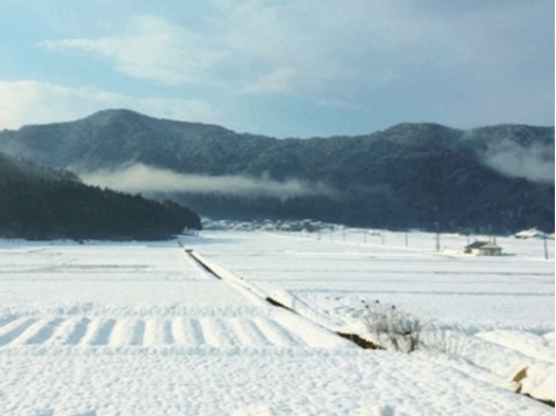 西浅井地域の雪景色